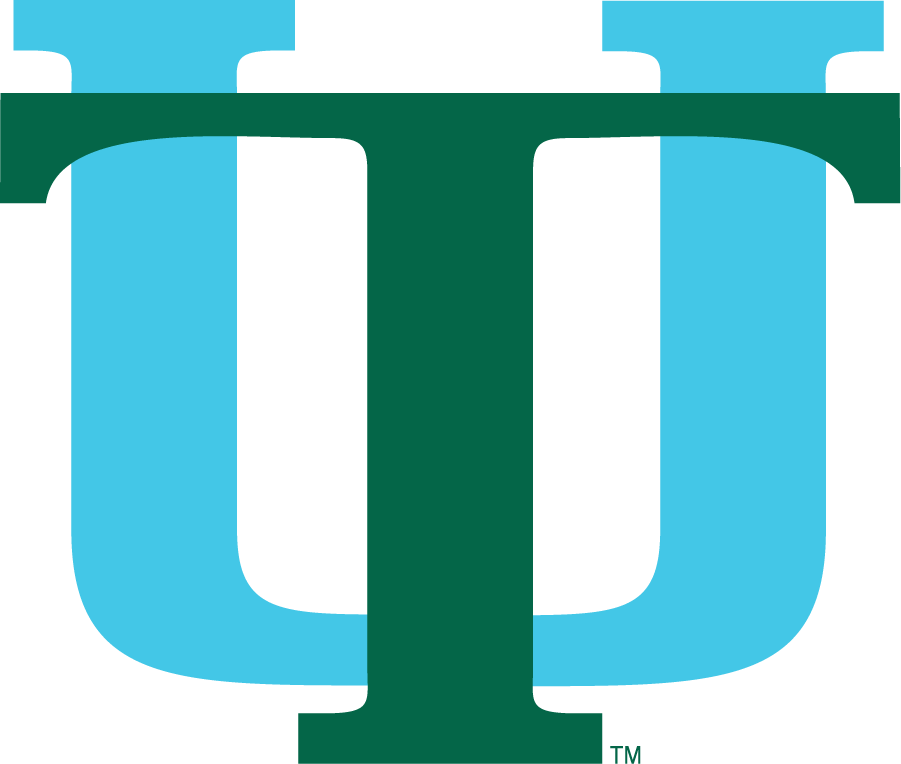 Tulane Green Wave 1976-1984 Secondary Logo diy DTF decal sticker